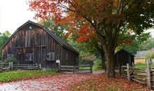 Picturesque Old Barn And Shed With Fallen Bright Red Leaves