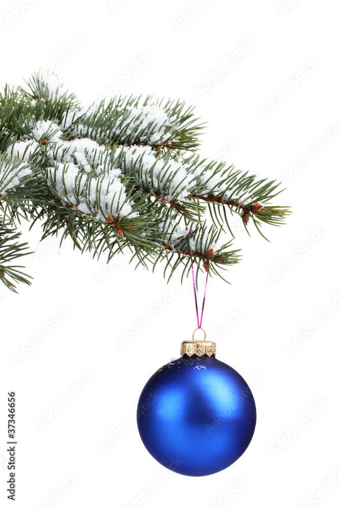 Christmas ball on the tree isolated on white