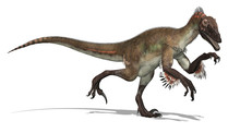 Utahraptor Dinosaur - 3d Render