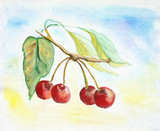 Red cherry