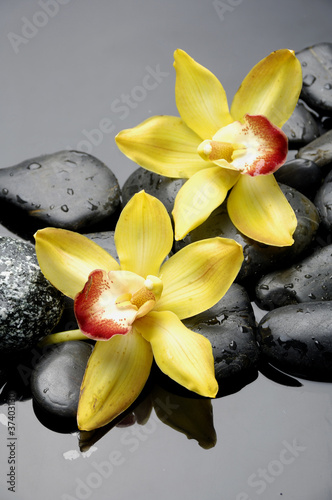 Tapeta ścienna Koncepcja spa-piękna orchidea z kamieniami zen