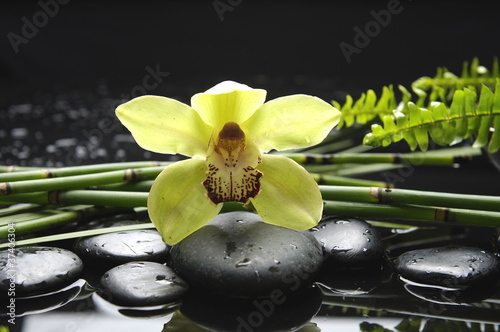 Tapeta ścienna Spa martwa natura z gorącymi kamieniami i orchidei z cienkiego bambusa