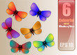 6 Colourful Set of Butterflies