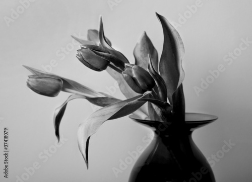 Naklejka na drzwi Czarno-biały wazon tulipanów