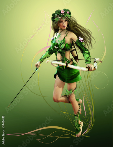 Tapeta ścienna Elfi hunter