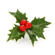 holly berry sprig, christmas symbol