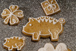 © Václav Mach - gingerbread