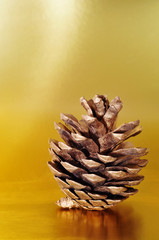 Wall Mural - pine cone