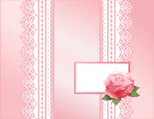 Pink Lace, Rose Satin Present
