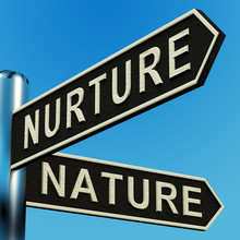 Nurture Or Nature Directions On A Signpost