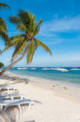 Wall Mural - tropical beach