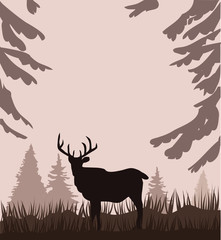 Wall Mural - vector deer in the woods