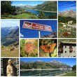 Big Alps road collage, France