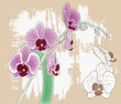 orchidea - dipinto artistico