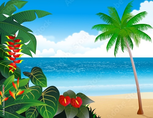 Plakat na papierze fotorealistycznym Tropikalny tło plaży