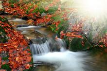 Autumn Creek In Czech Republic