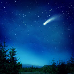Plakat drzewa meteory noc spokojny pole