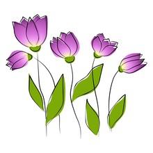Flowers - Purple Tulips