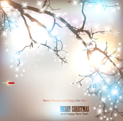 Wall Mural - Elegant nature background with place for text. Winter tree with