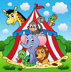 Sticker - Circus theme picture 1