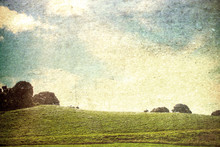 Vintage Landscape