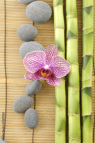 Tapeta ścienna Ramka spa z, różowa orchidea z kamieni na bambus