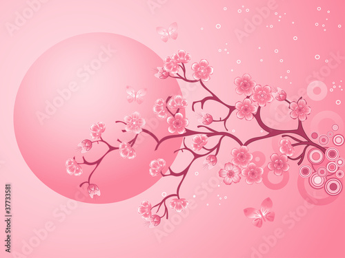 Board z aluminiowym obramowaniem Różowe kwiaty wiśni sakura