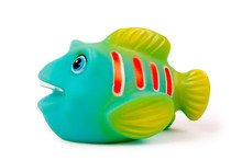Rubber Fish Toy