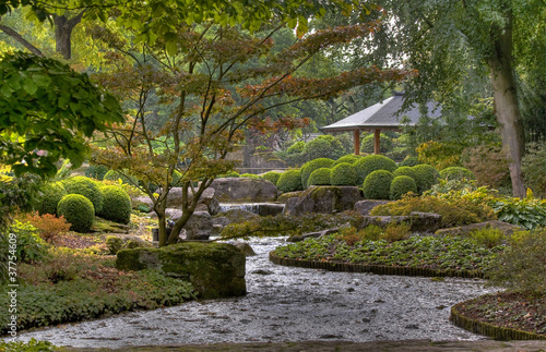 Tapeta ścienna Zielony krajobraz Japonii