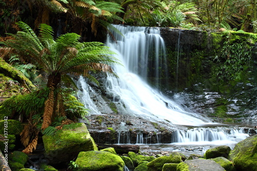 Tapeta ścienna Wspaniały russel zakochuje się w tasmania, australia.