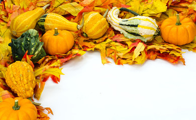 Wall Mural - Fall arrangement with leaves and gourds