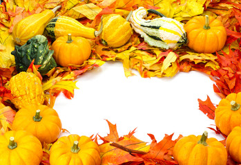 Wall Mural - Fall border arrangement of leaves gourds pumpkins