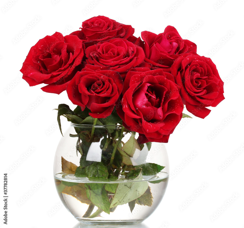 Beautiful red roses in a vase isolated on white