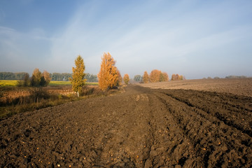 Canvas Print - A plowed field in the autumn