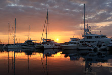 Yachts In The Dock At Sunrise - Florida