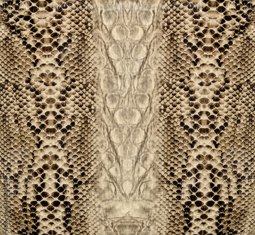 Naklejka dekoracyjna Snake skin, reptile
