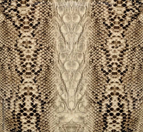 Nowoczesny obraz na płótnie Snake skin, reptile