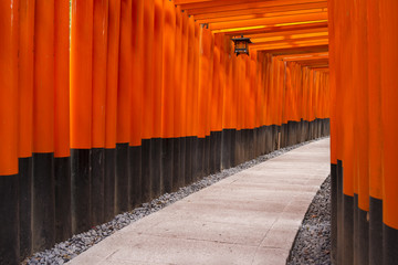 Fototapete - Fushimi Inari Taisha