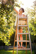 © lightpoet - Young woman up on a ladder picking apples from an apple tree