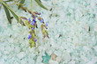 Lavendel, Badesalz und Zweig mit Blüten