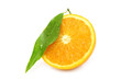 Orange segment on white background