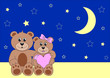 zwei teddys in der nacht