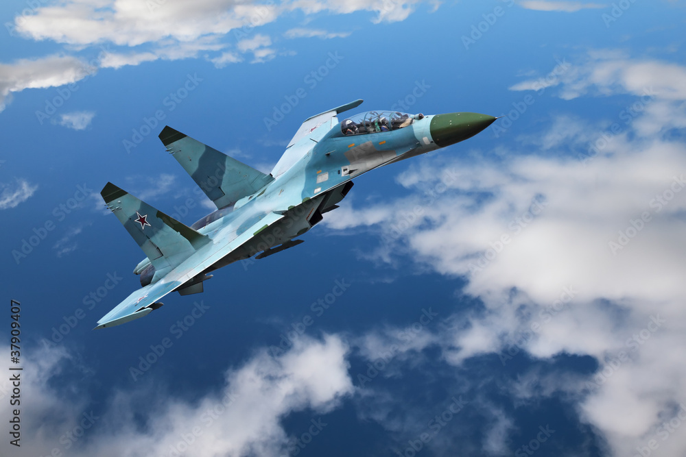 Papel de parede Fighter