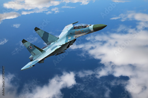 Obraz na plátně Fighter