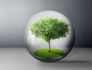 Wall Mural - tree and globe