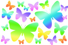 Rainbow Butterflies On White Background