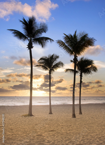 Plakat na papierze fotorealistycznym Wschód słońca w Miami Beach na Florydzie z palmami