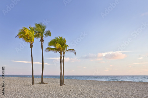 Plakat na papierze fotorealistycznym Tropikalny raj w Miami Beach na Florydzie z palmami