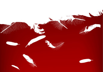 Sticker - white and red feathers background