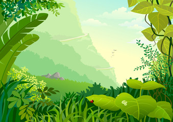 AMAZON JUNGLE TREES  AND WILDERNESS